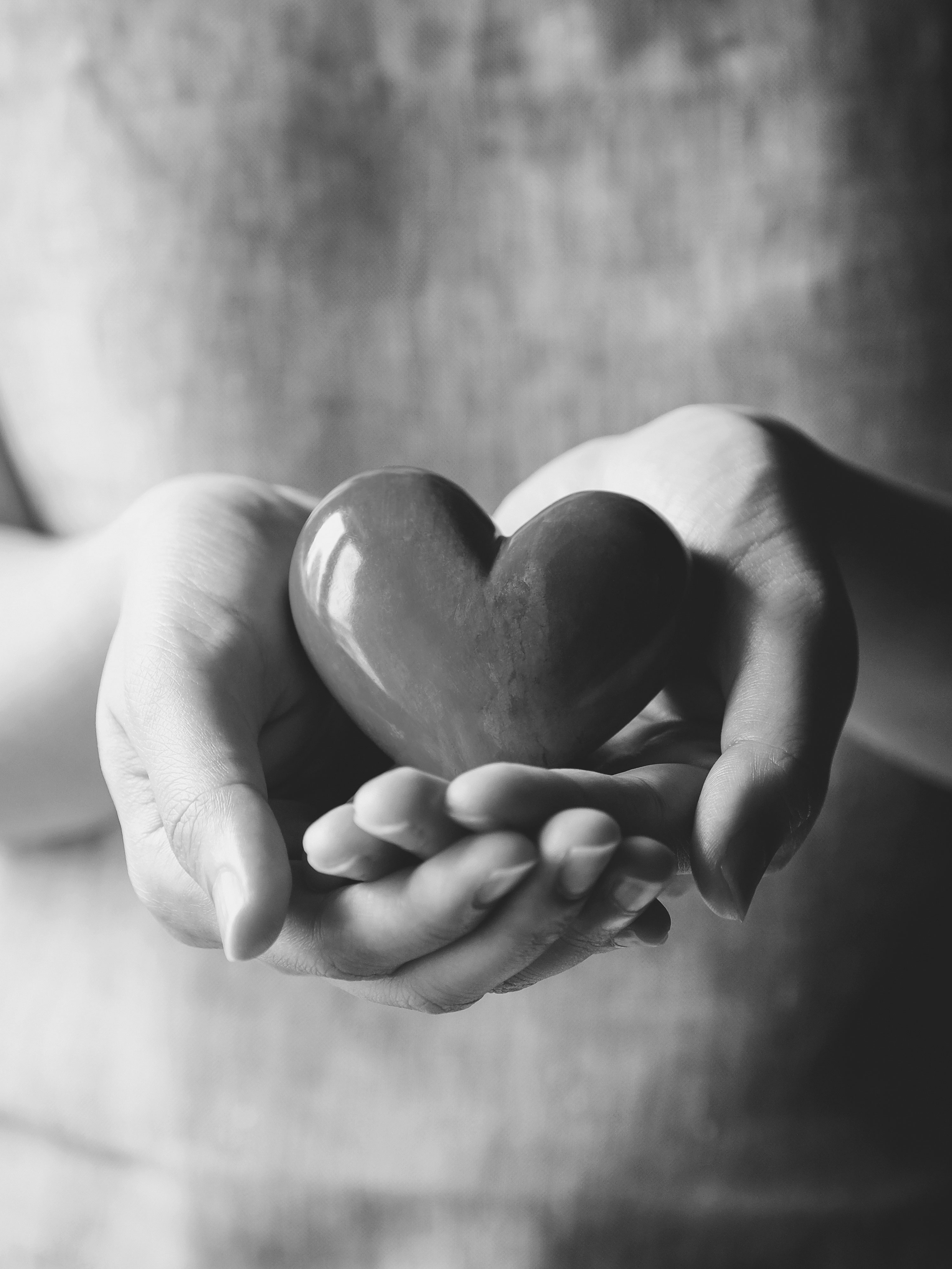 Hands holding a heart, representing donation